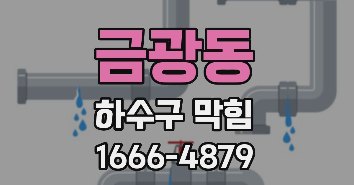 금광동 하수구 막힘
