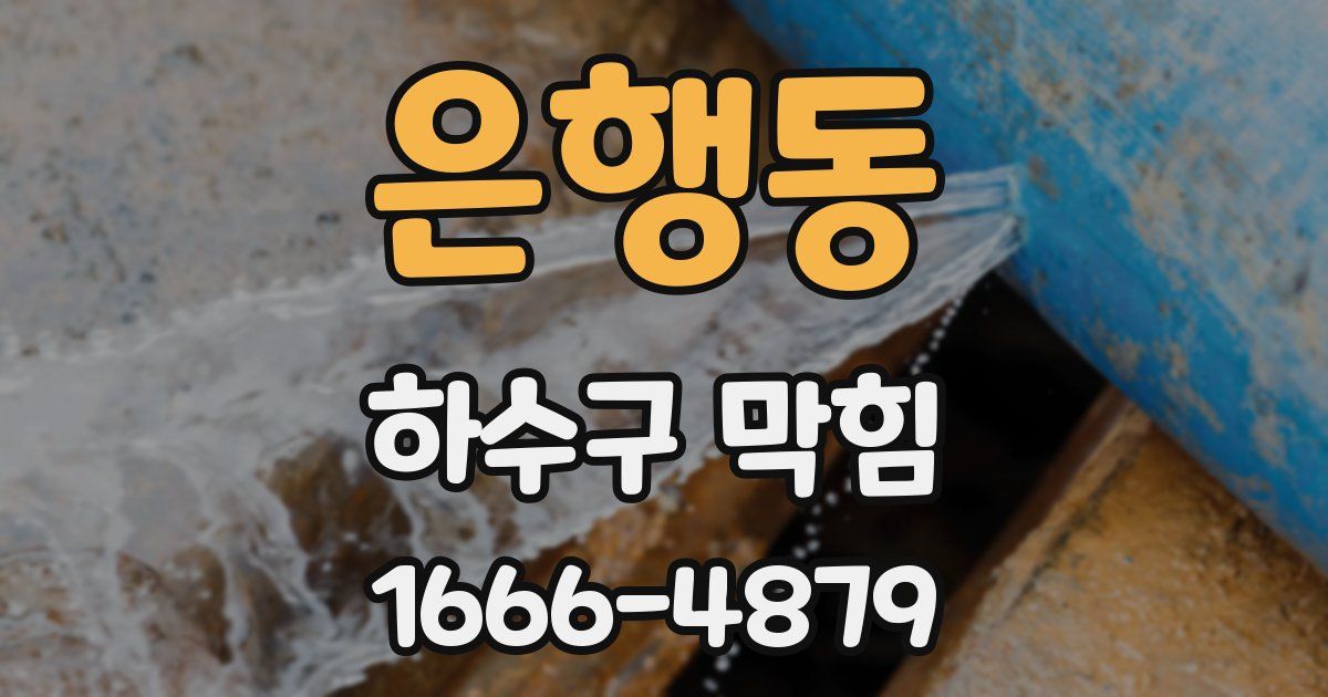 은행동 하수구 막힘