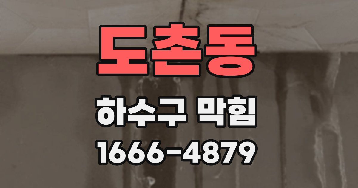 도촌동 하수구 막힘