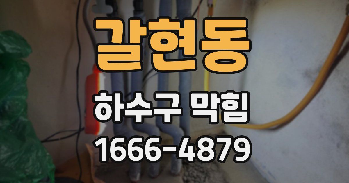갈현동 하수구 막힘