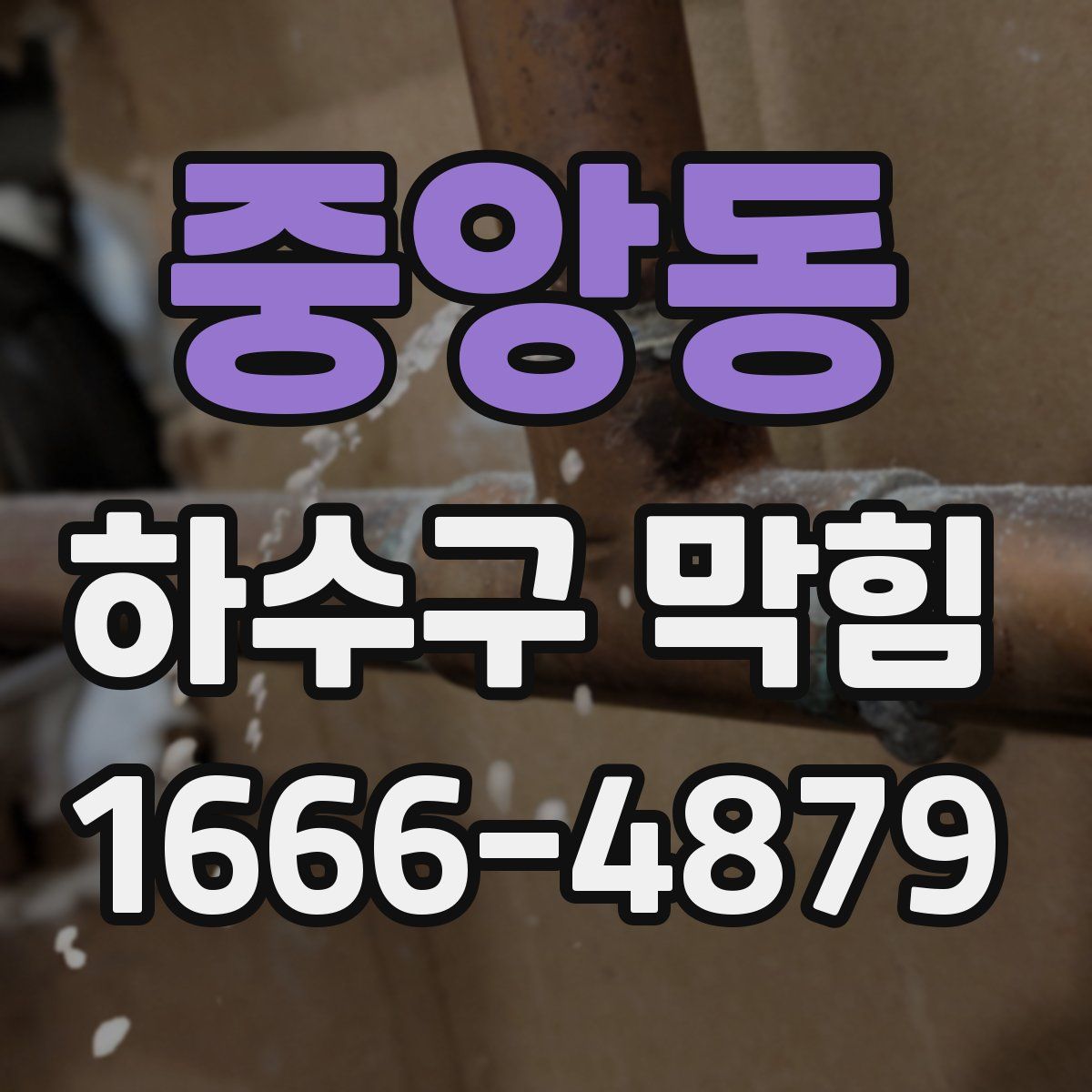 중앙동 하수구 막힘