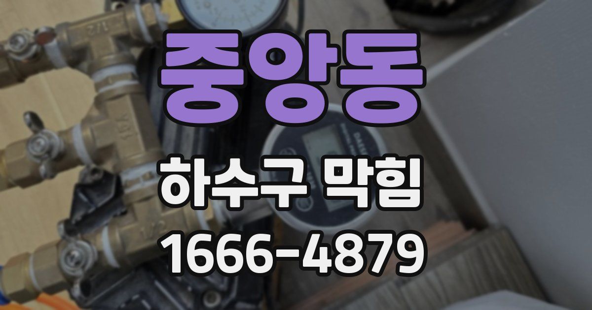 중앙동 하수구 막힘