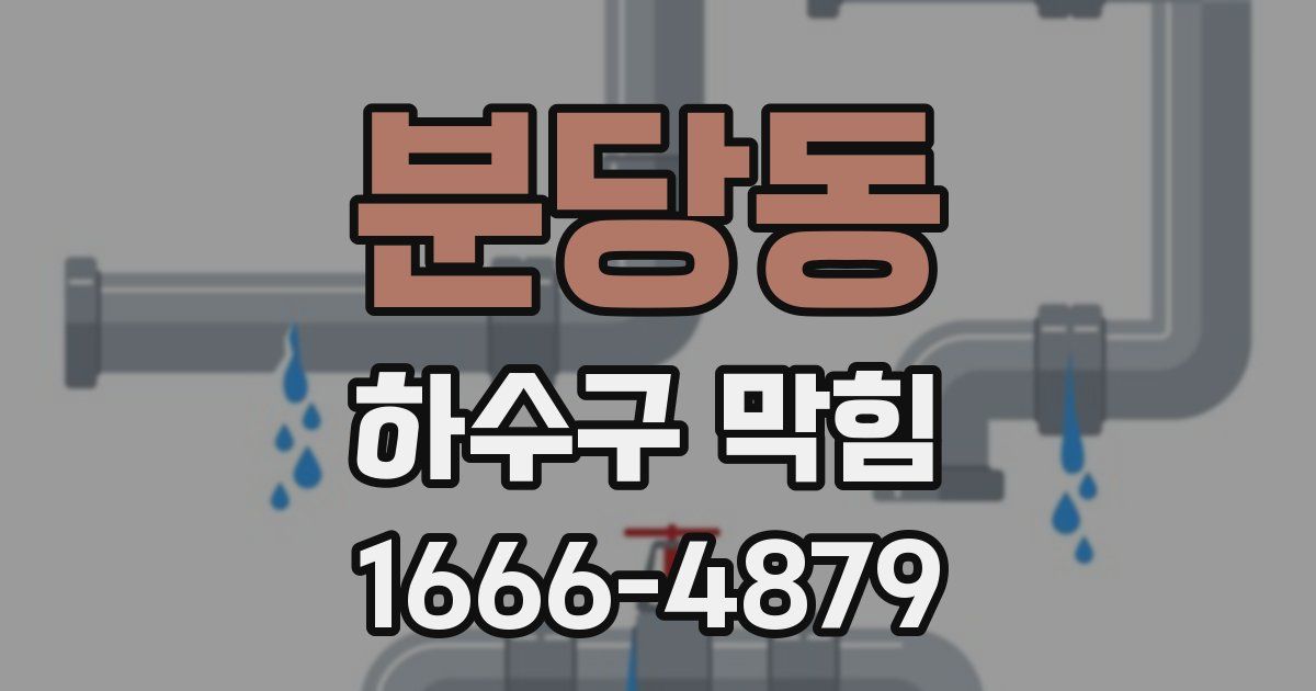 분당동 하수구 막힘