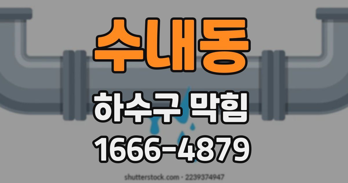 수내동 하수구 막힘