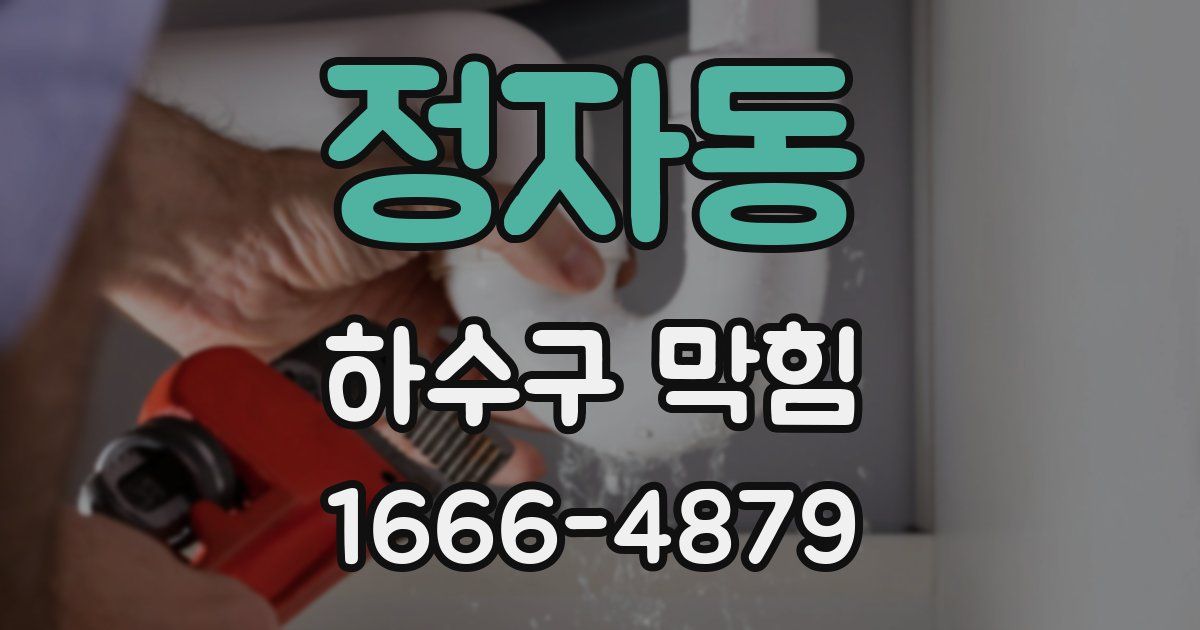 정자동 하수구 막힘