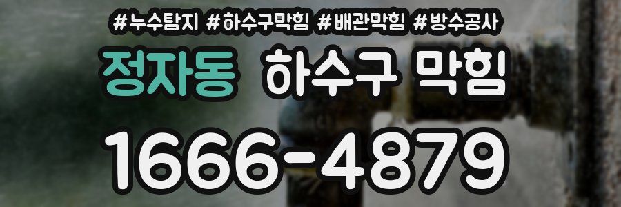 정자동 하수구 막힘
