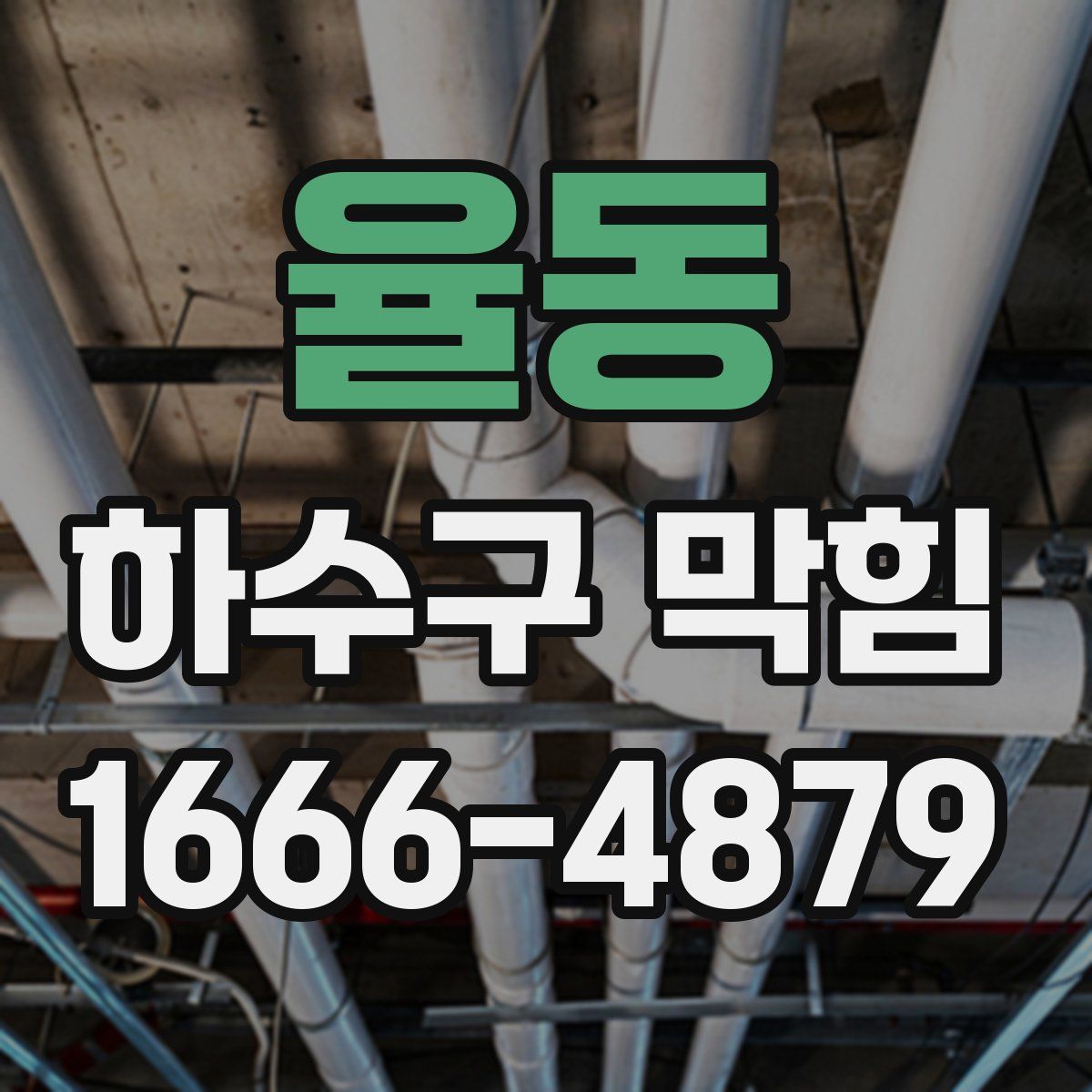 율동 하수구 막힘