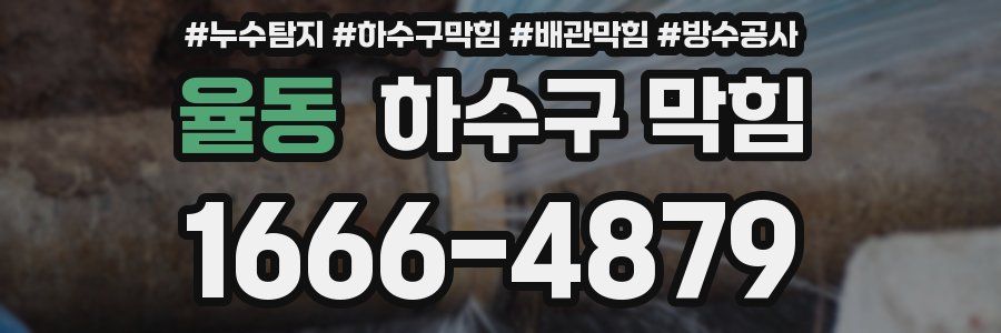 율동 하수구 막힘