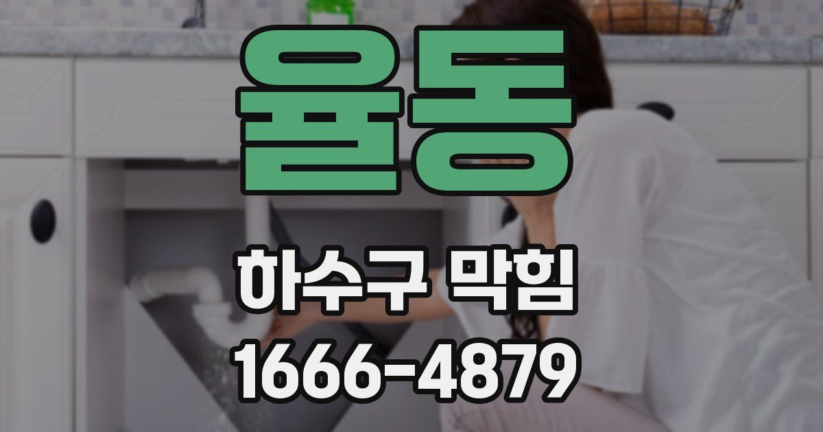 율동 하수구 막힘