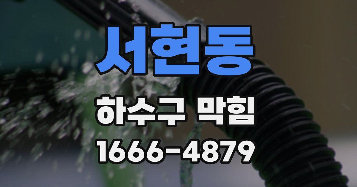 서현동 하수구 막힘