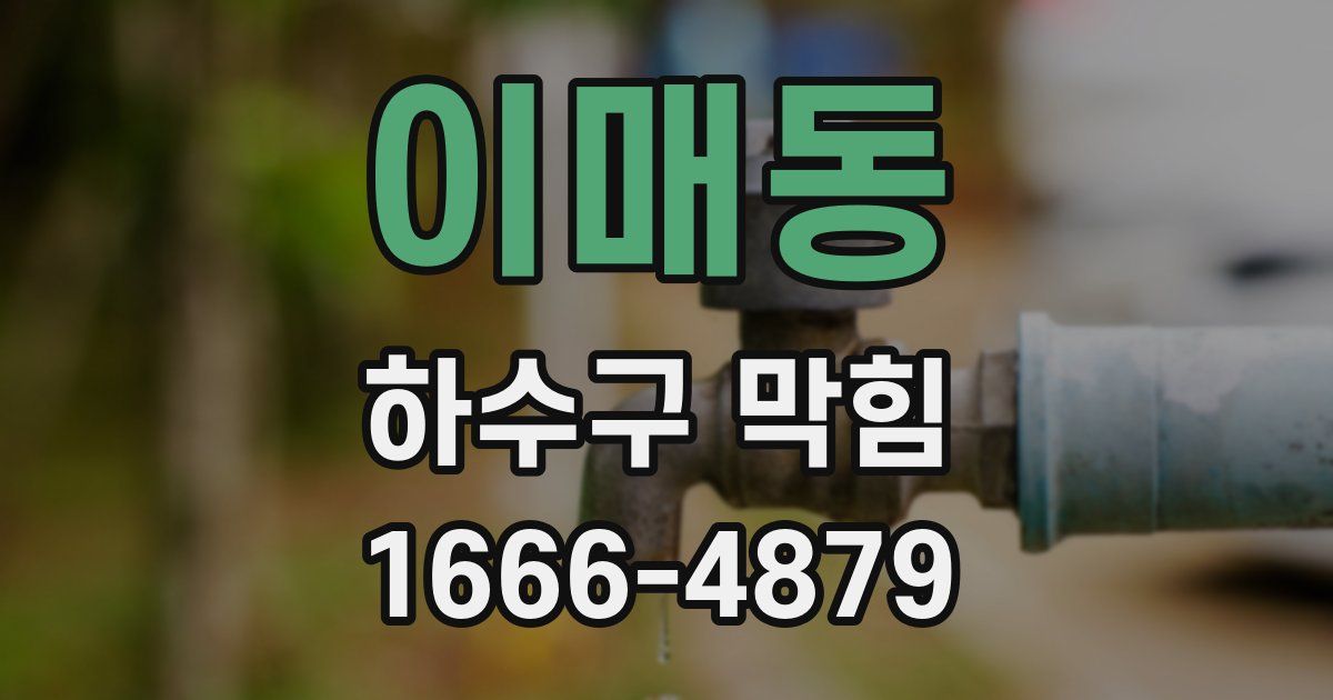 이매동 하수구 막힘