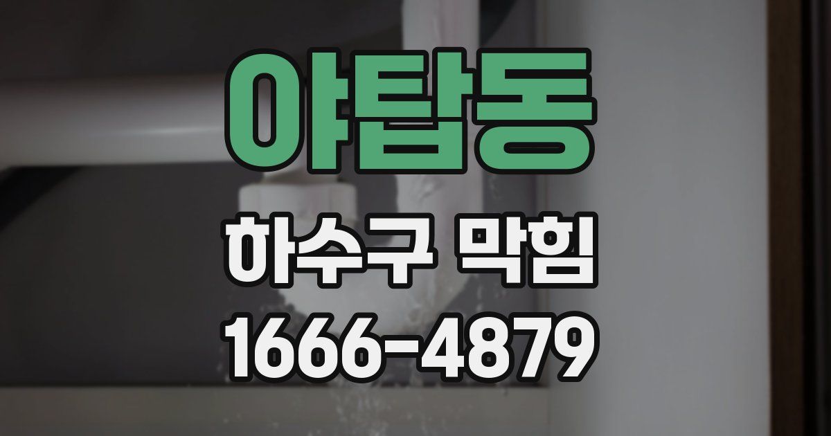 야탑동 하수구 막힘