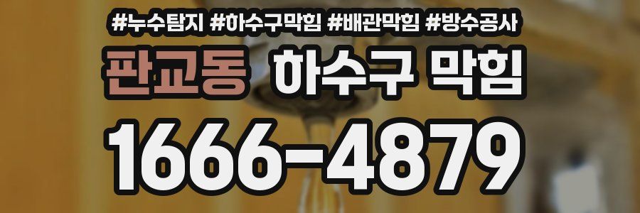 판교동 하수구 막힘