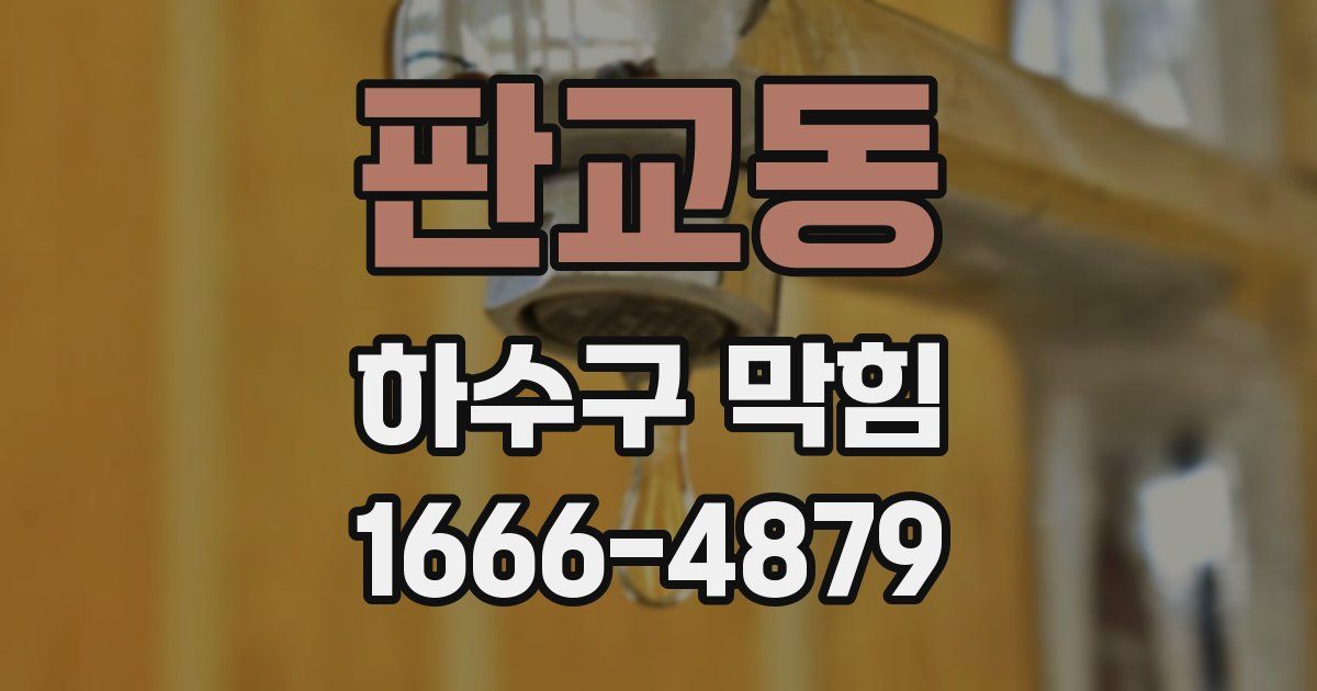 판교동 하수구 막힘
