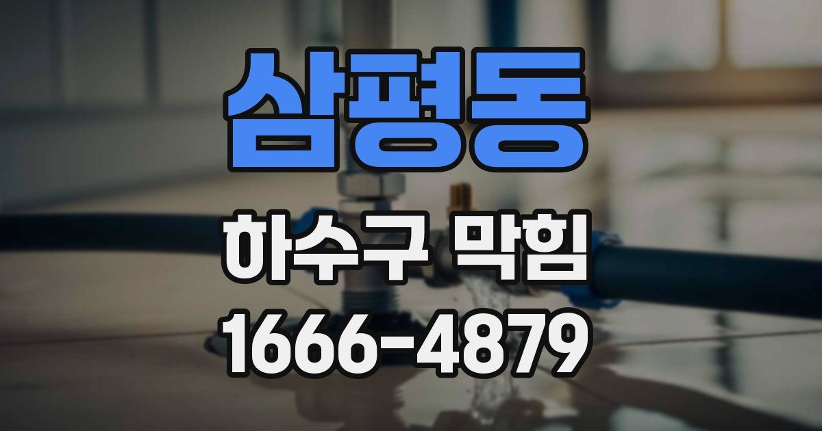 삼평동 하수구 막힘
