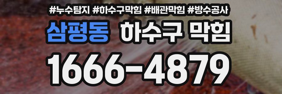 삼평동 하수구 막힘