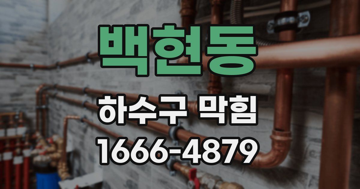 백현동 하수구 막힘