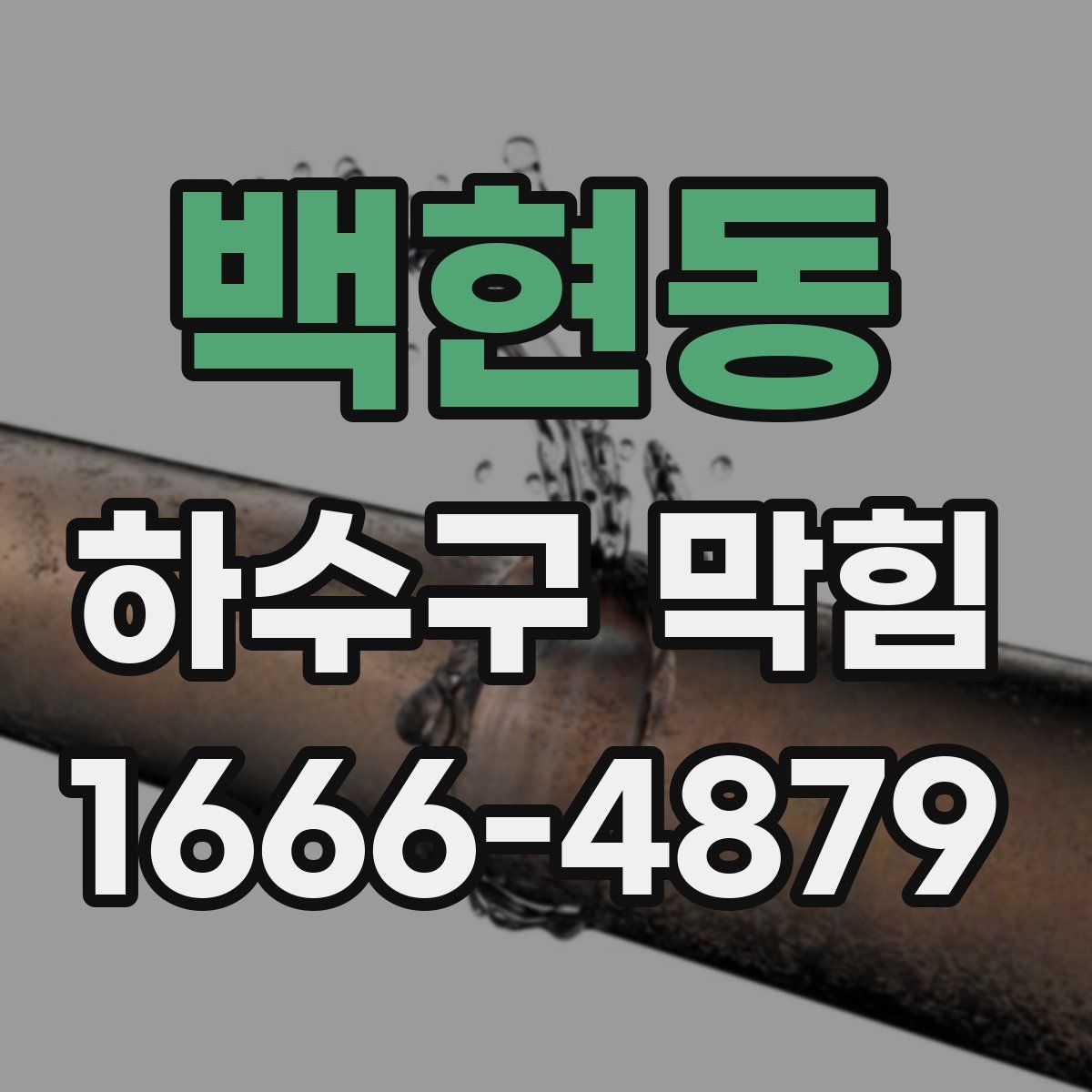 백현동 하수구 막힘