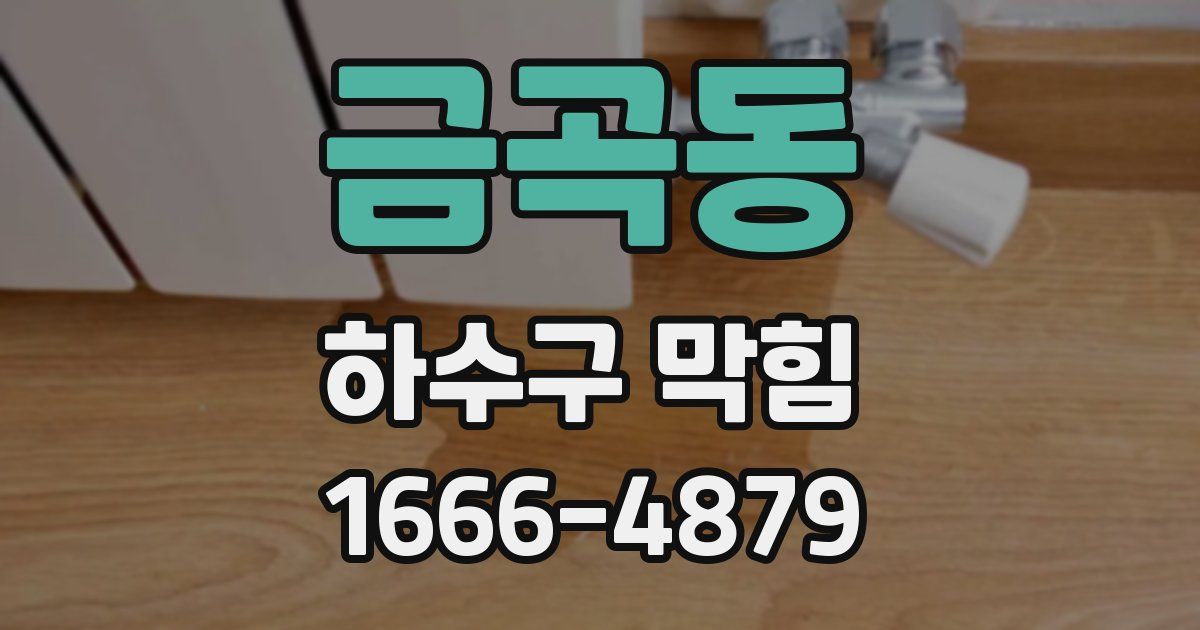 금곡동 하수구 막힘