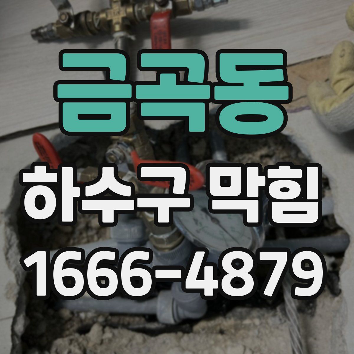 금곡동 하수구 막힘