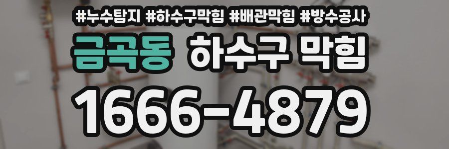 금곡동 하수구 막힘