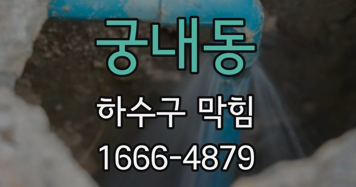 궁내동 하수구 막힘