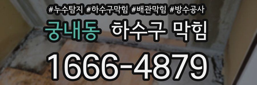궁내동 하수구 막힘