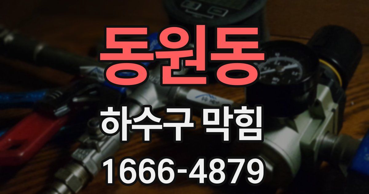 동원동 하수구 막힘
