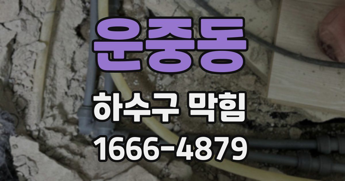 운중동 하수구 막힘