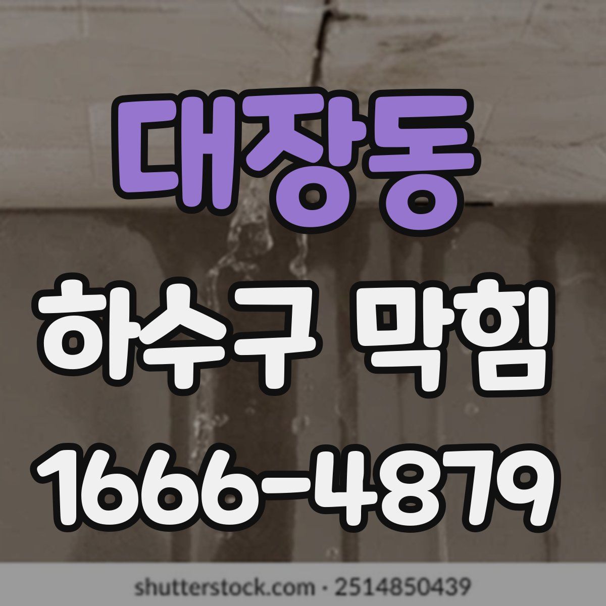 대장동 하수구 막힘