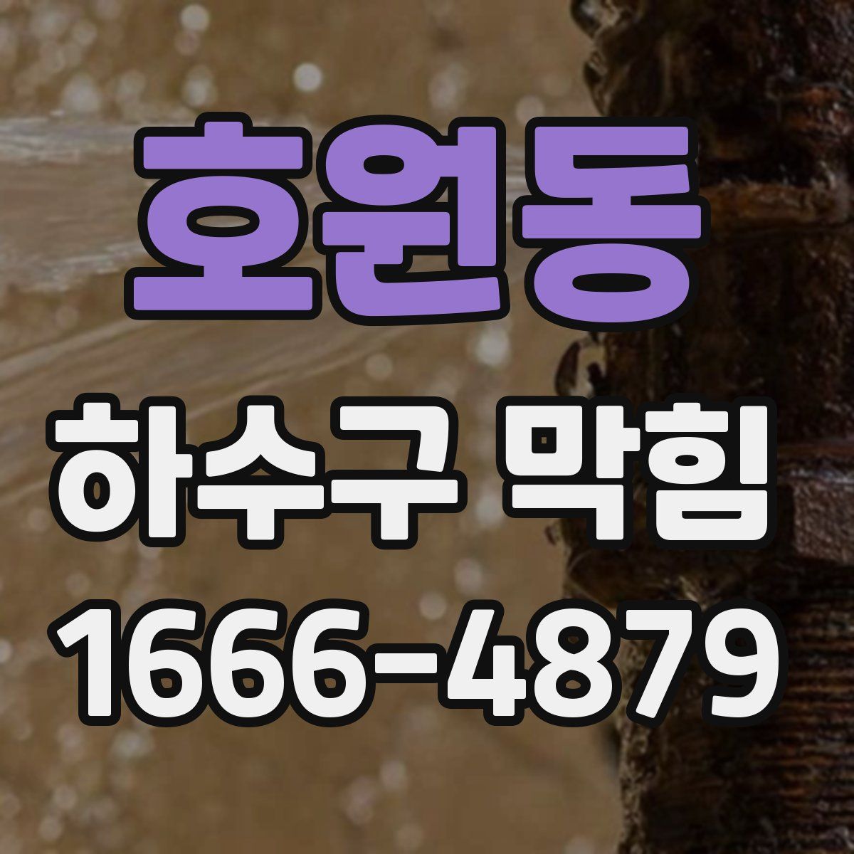 호원동 하수구 막힘