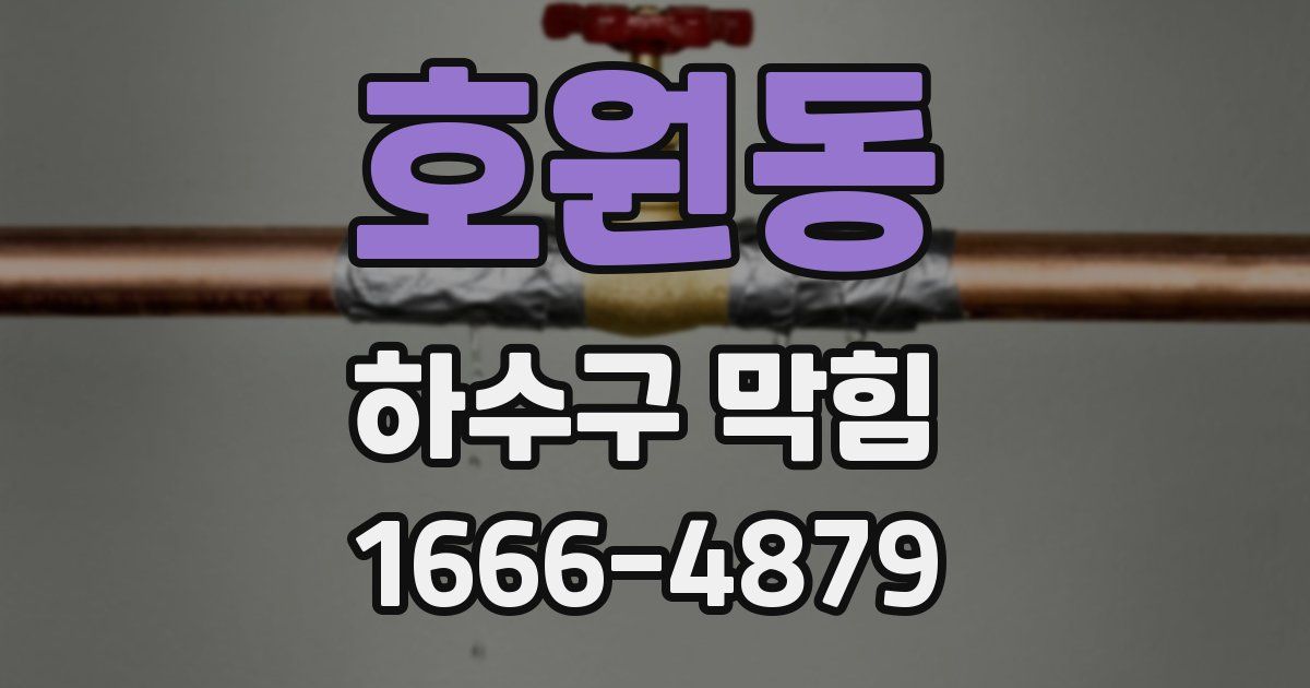 호원동 하수구 막힘