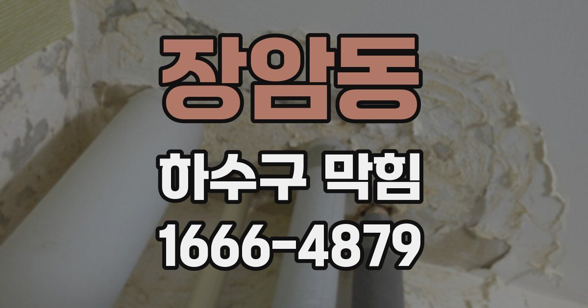 장암동 하수구 막힘