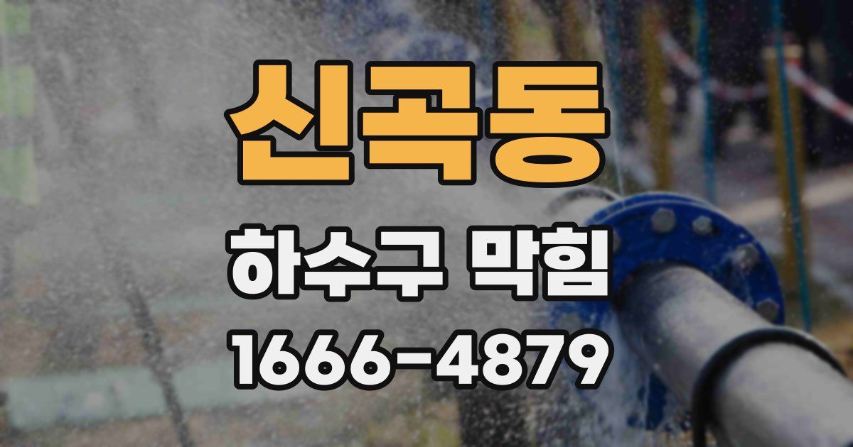 신곡동 하수구 막힘