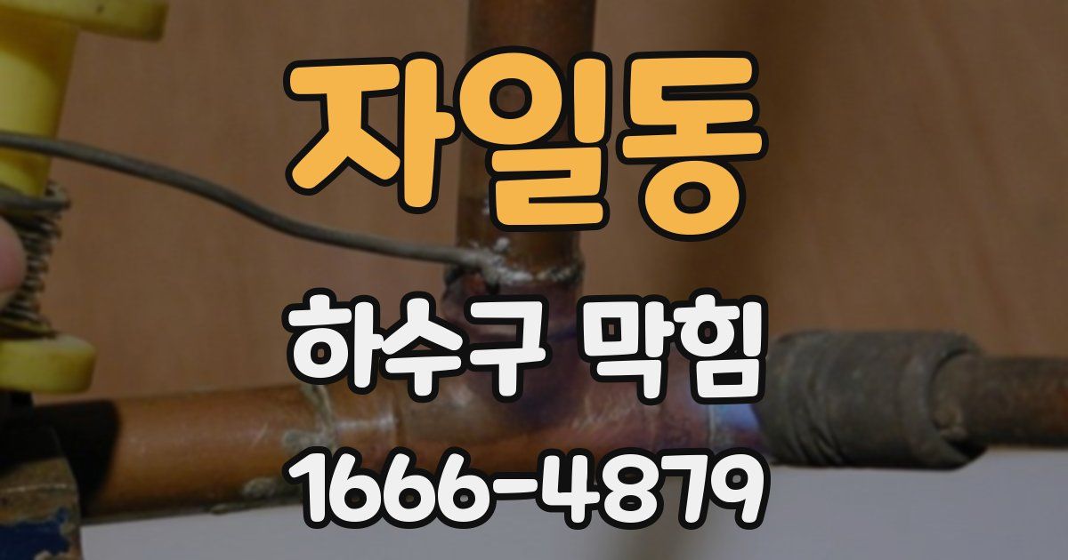 자일동 하수구 막힘