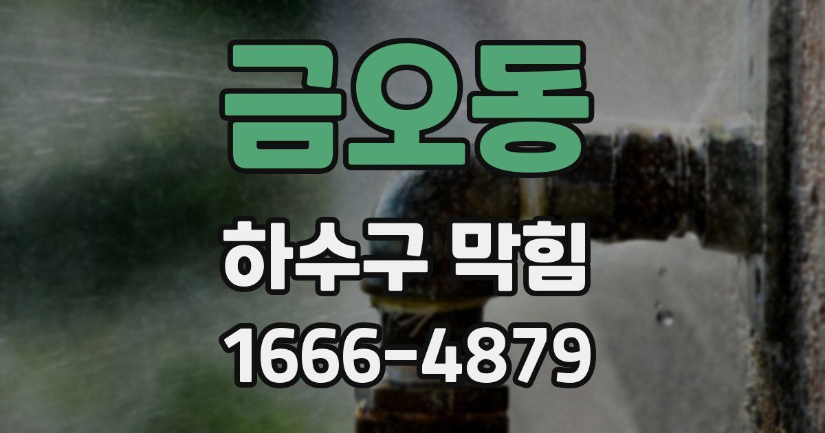 금오동 하수구 막힘