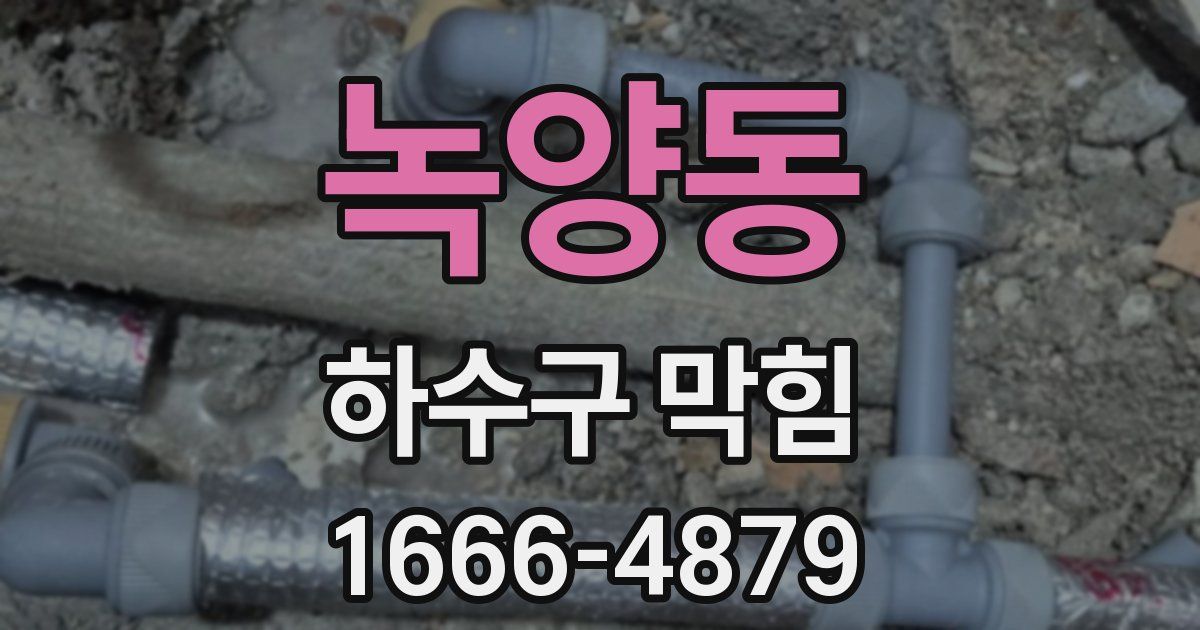 녹양동 하수구 막힘