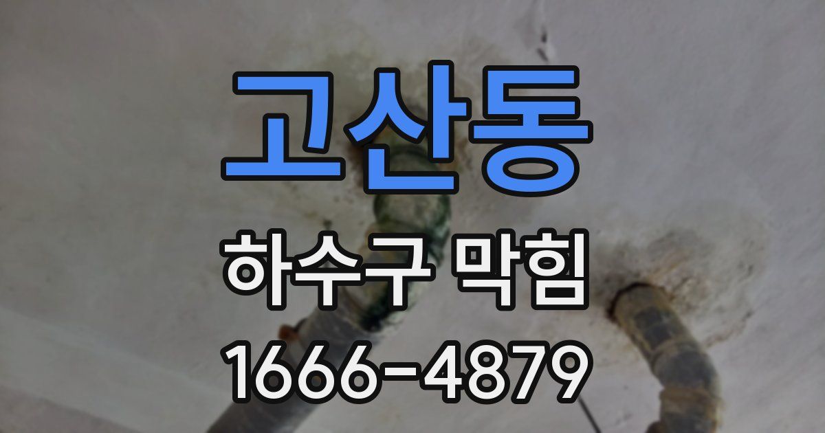 고산동 하수구 막힘