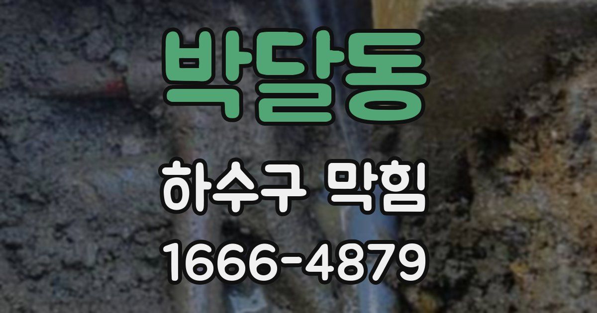 박달동 하수구 막힘