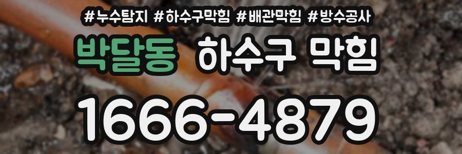 박달동 하수구 막힘