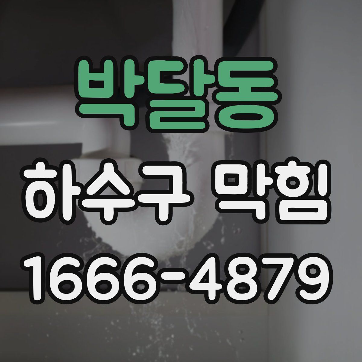 박달동 하수구 막힘