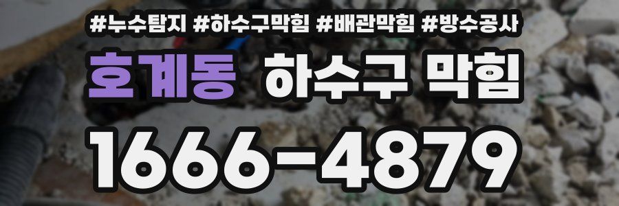 호계동 하수구 막힘