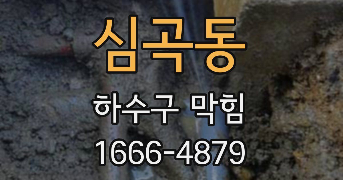 심곡동 하수구 막힘