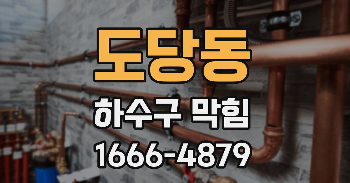 도당동 하수구 막힘