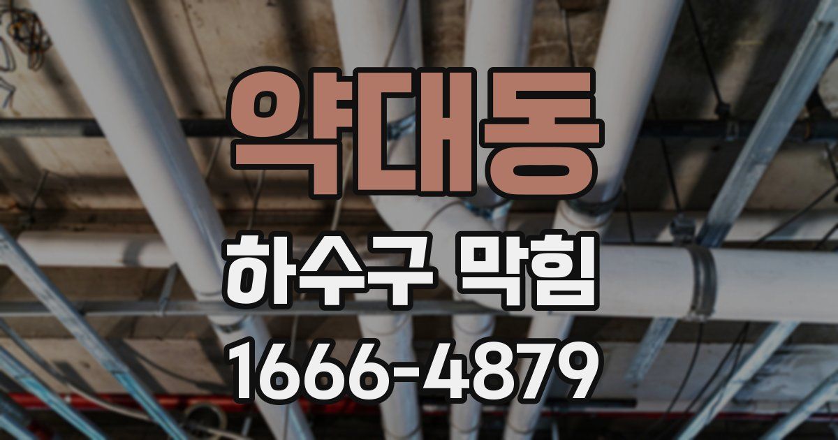 약대동 하수구 막힘
