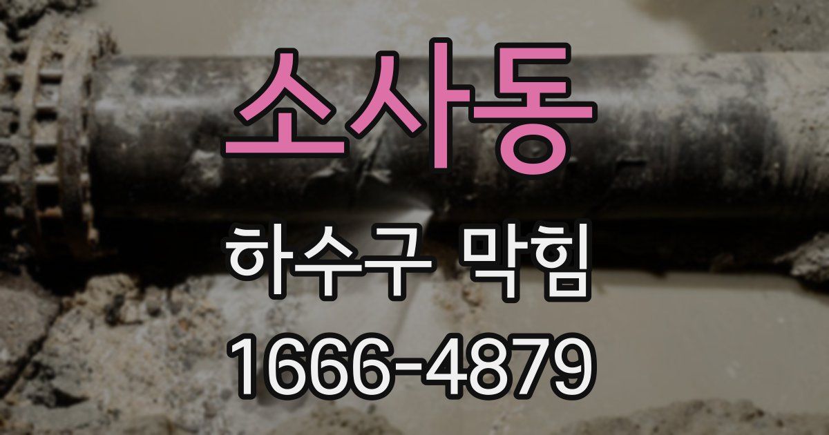 소사동 하수구 막힘