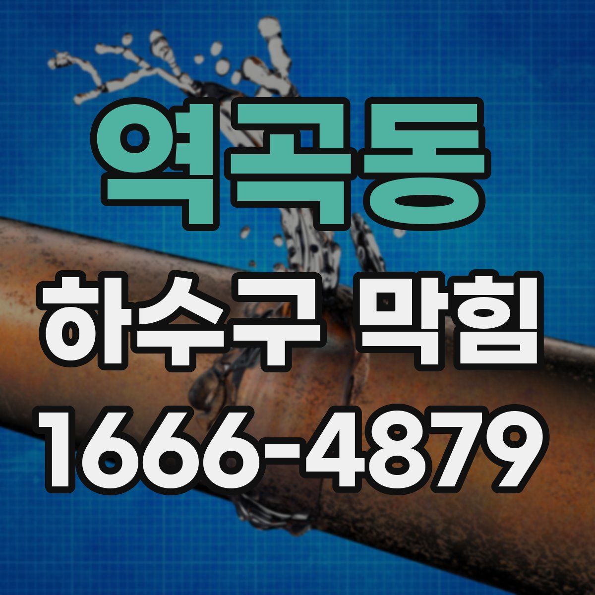 역곡동 하수구 막힘