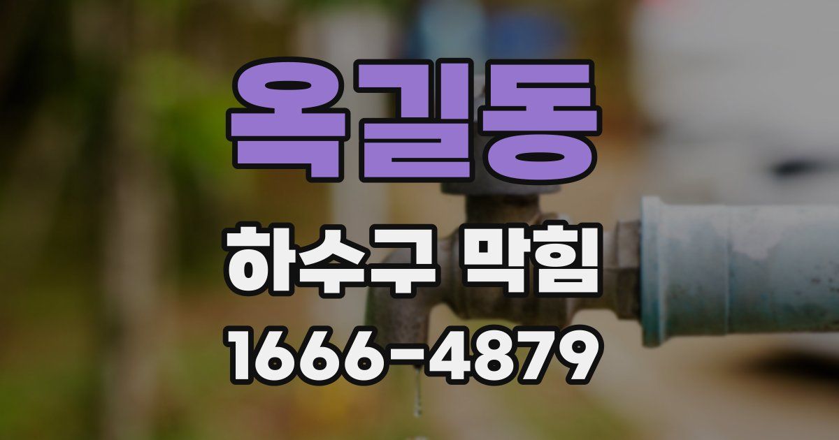 옥길동 하수구 막힘