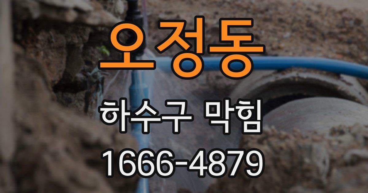 오정동 하수구 막힘