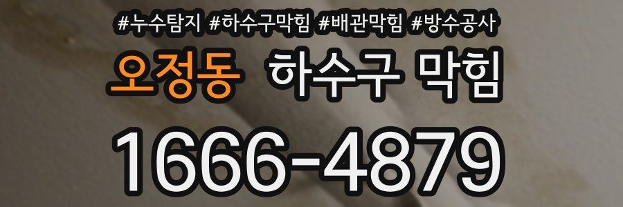 오정동 하수구 막힘